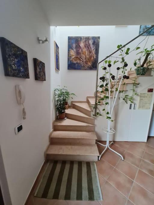 Scrigno Del Borgo-Intero Alloggio Montelupone Luaran gambar
